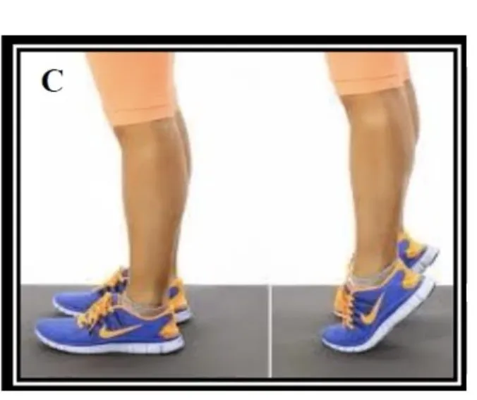 Slide 41 — double-leg heel rises (C)