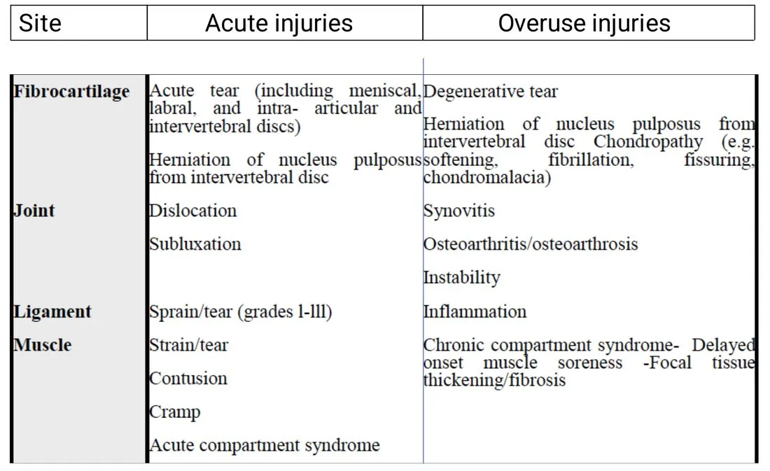 Slide 12 — acute vs overuse injuries: fibrocartilage, joint, ligament, muscle