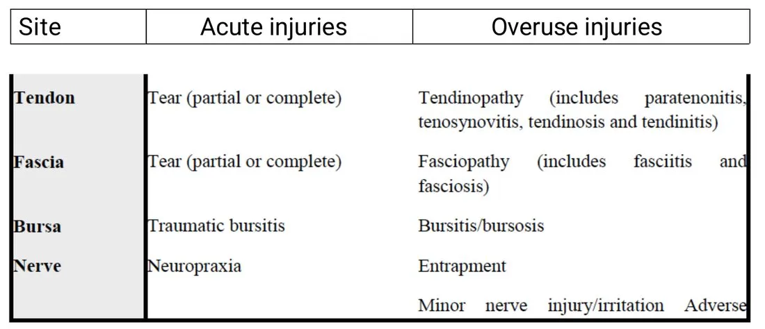 Slide 13 — acute vs overuse injuries: tendon, fascia, bursa, nerve