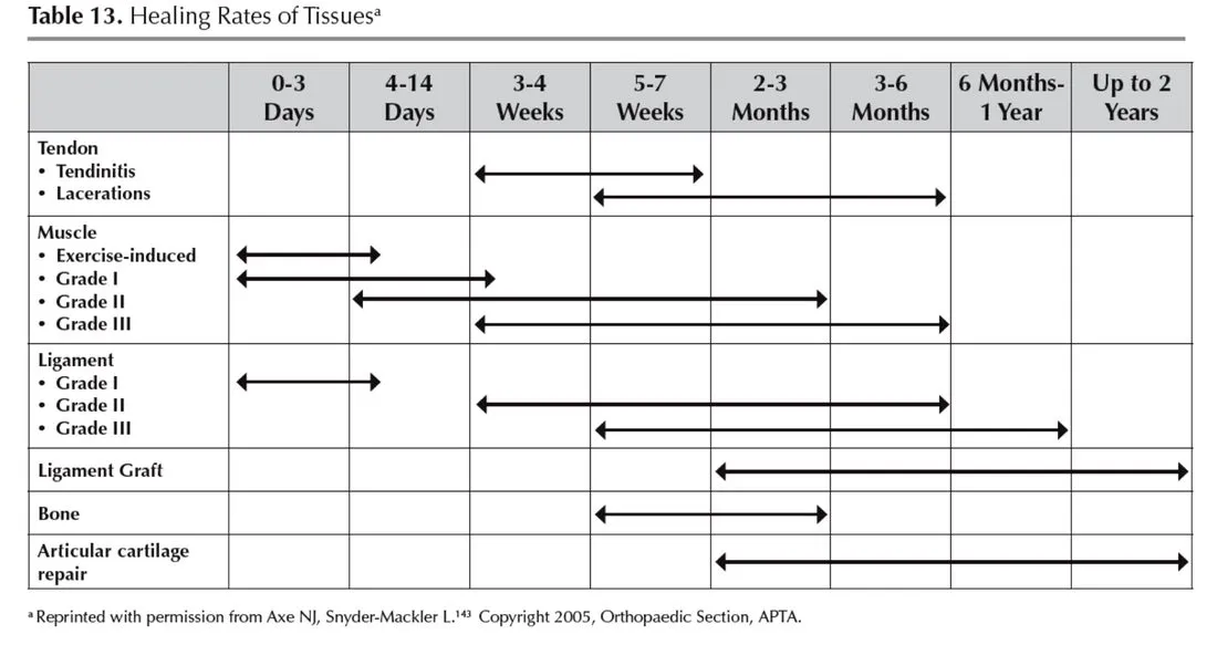 Slide 16 — Table 13, healing rates of tissues