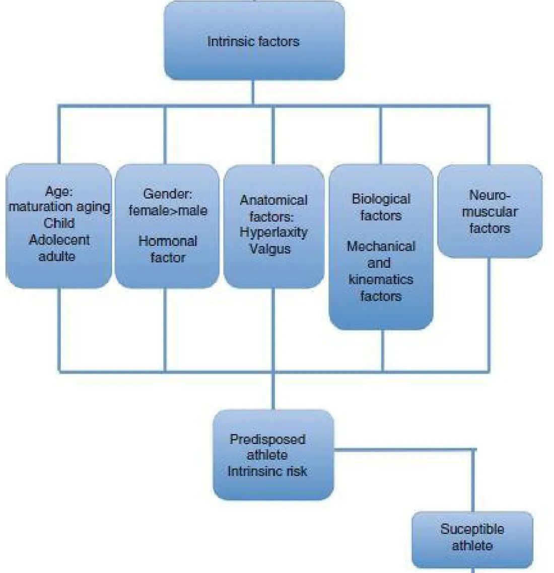 Slide 21 — intrinsic factors