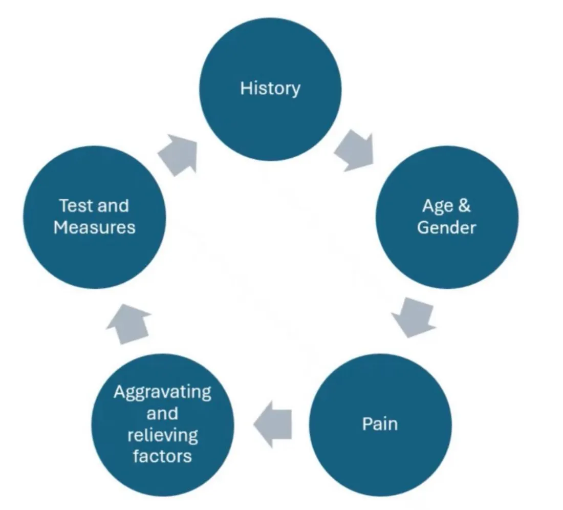 Slide 2 — the clinical examination cycle