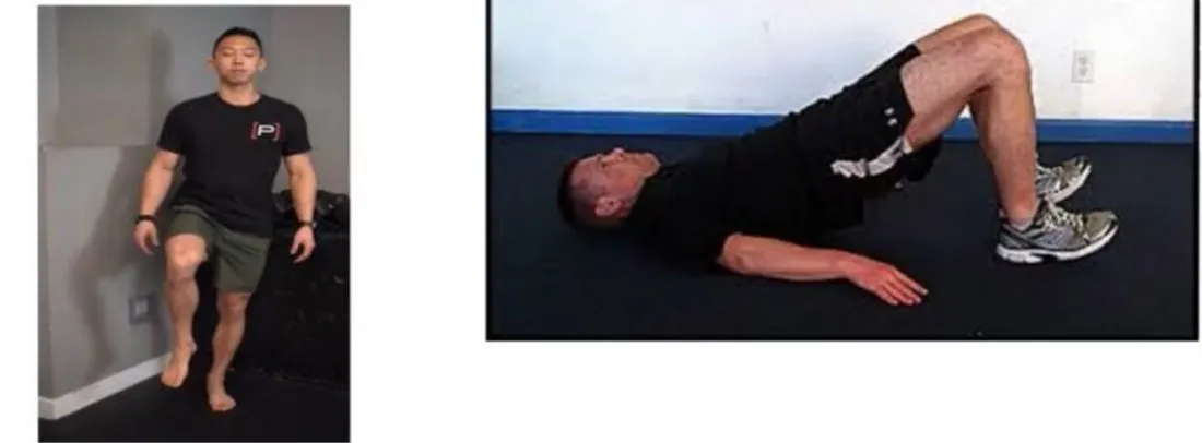 Slide 29 — single-limb balance and supine bridge