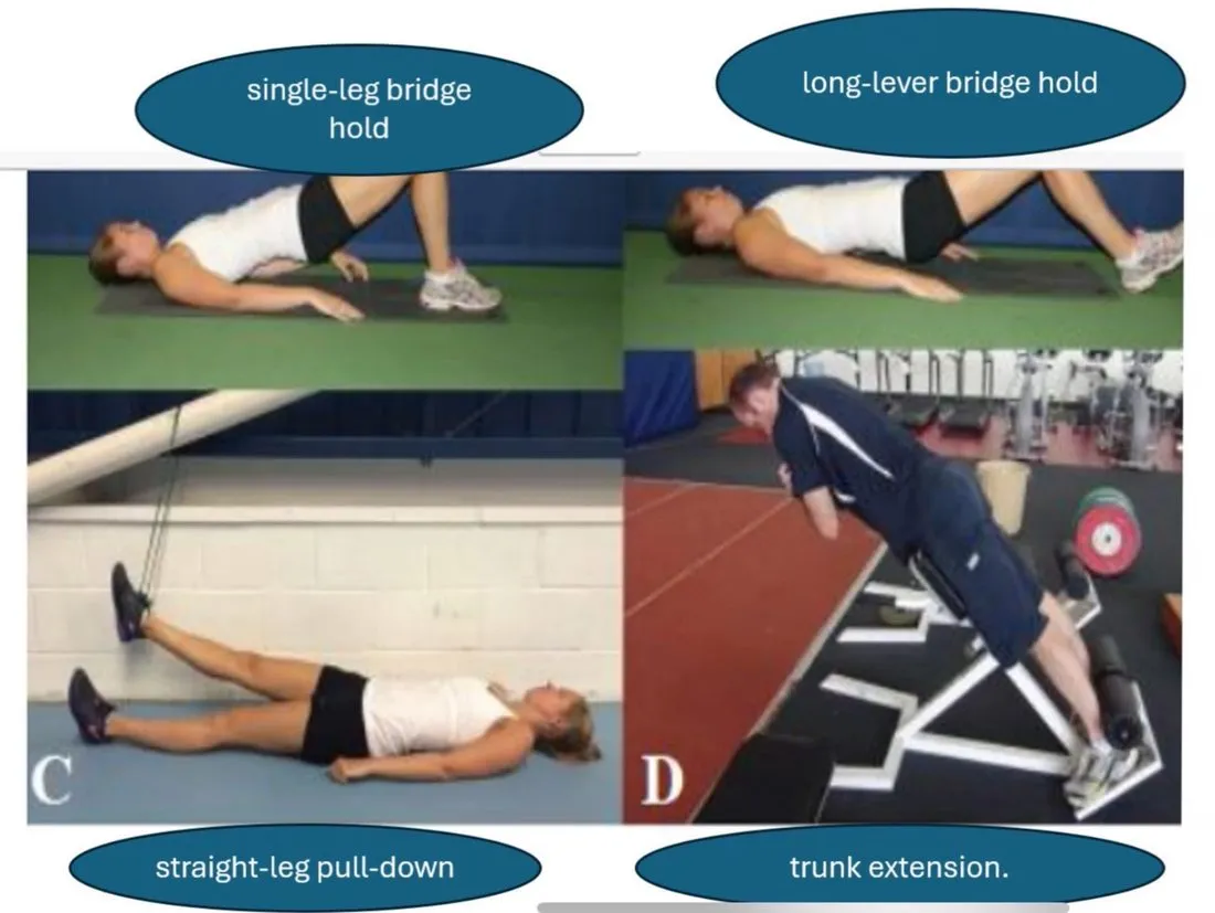 Slide 30 — single-leg bridge hold, long-lever bridge hold, straight-leg pull-down, trunk extension