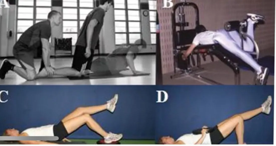 Slide 33 — Nordic hamstring, prone leg curl, supine bridging (photos A–D)