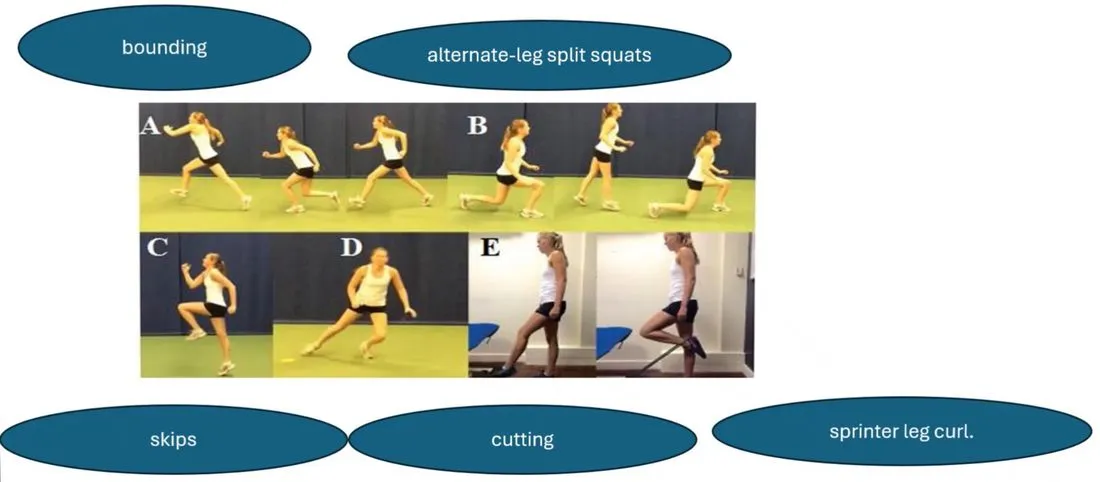Slide 36 — bounding, alternate-leg split squats, skips, cutting, sprinter leg curl (photos A–E)