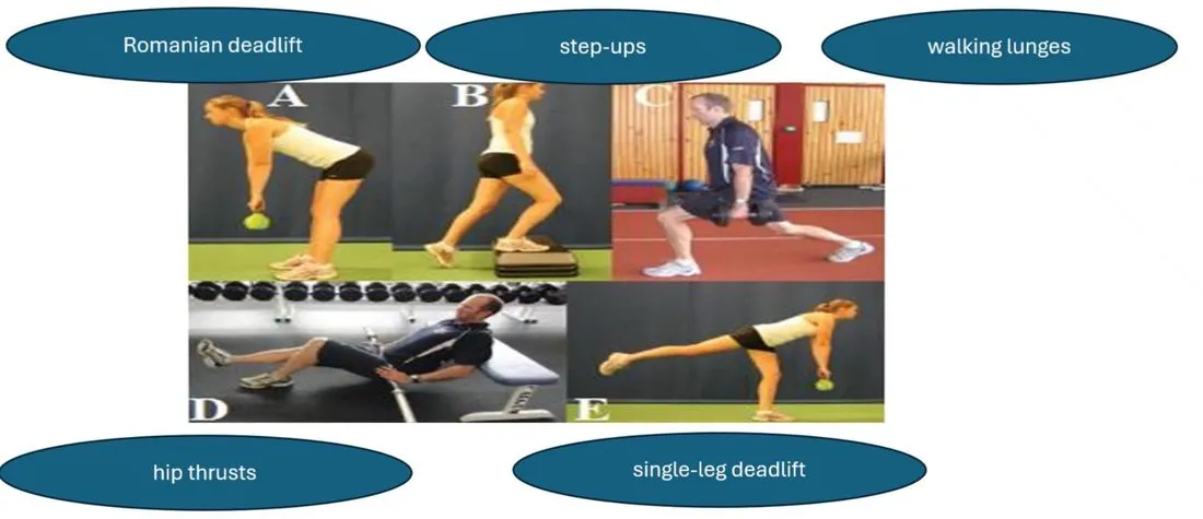 Slide 39 — Romanian deadlift, step-ups, walking lunges, hip thrusts, single-leg deadlift (photos A–E)
