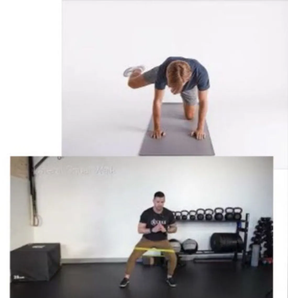 Slide 46 — quadruped hip extension and TB lateral walk