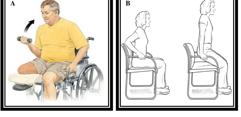 Page 7 — upper limb and crutch muscles