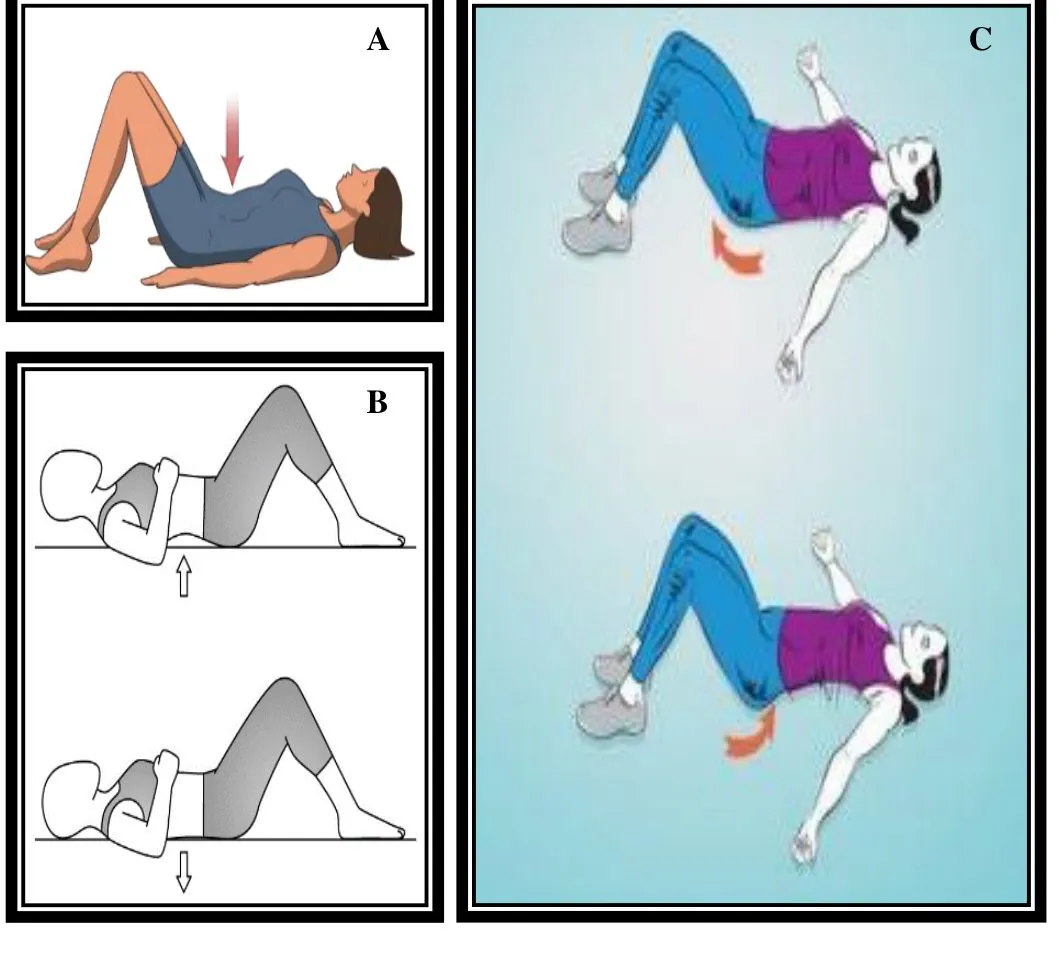 Page 7 — static abdominal, static back, pelvic tilts