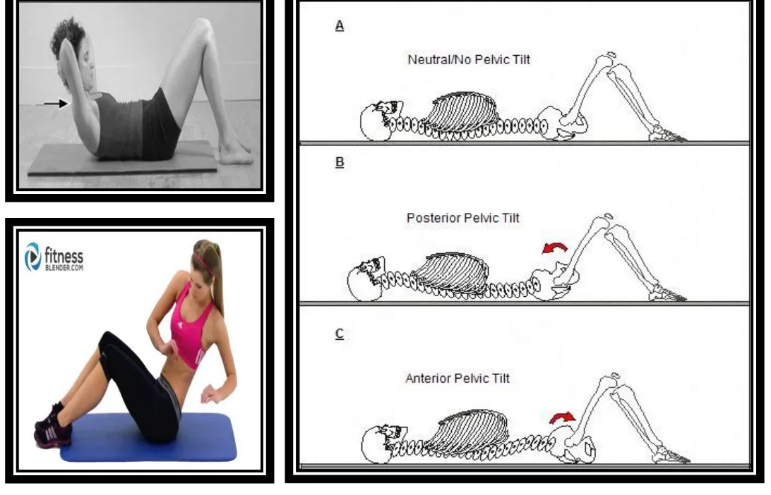 Page 8 — dynamic abdominal strengthening