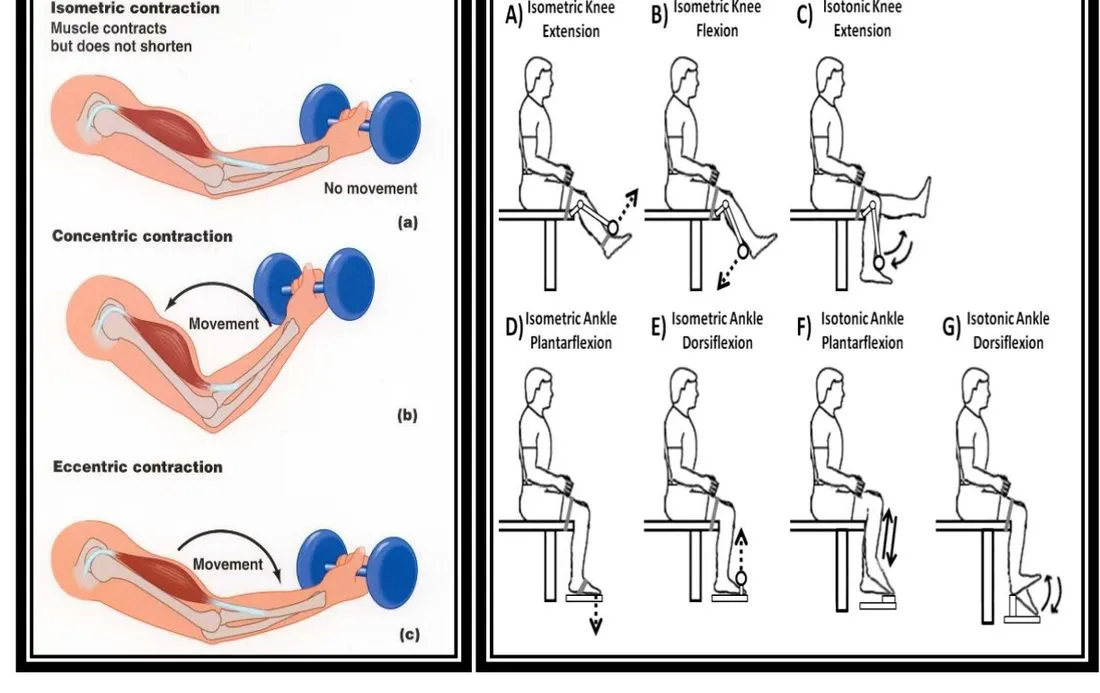 Page 13 — exercises to improve muscle performance