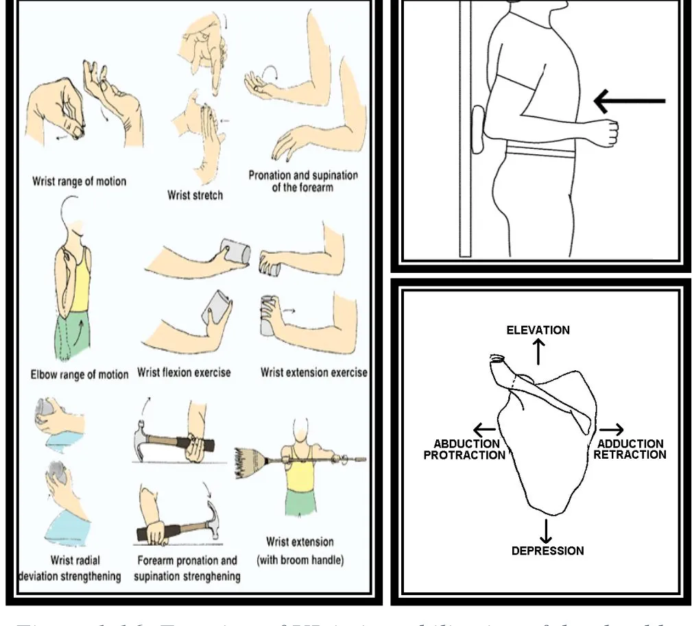 Page 15 — upper limb exercises