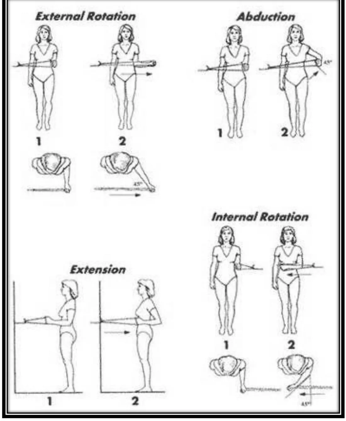 Page 8 — TheraBand strengthening