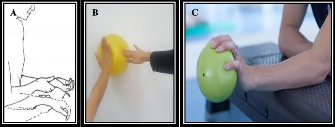 Page 17 — assisted supination/pronation and proprioception