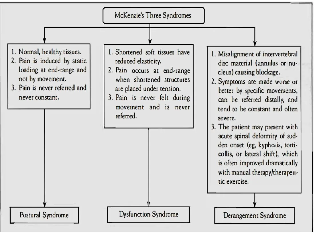 Slide 6 — McKenzie’s three syndromes