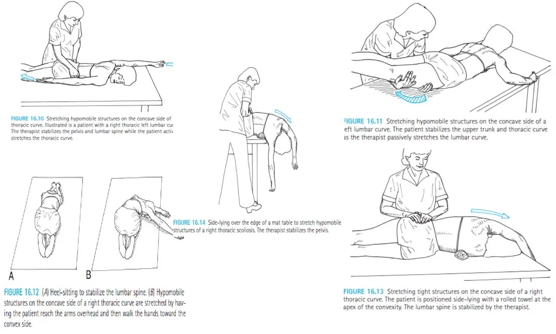 Slide 13 — lateral flexibility