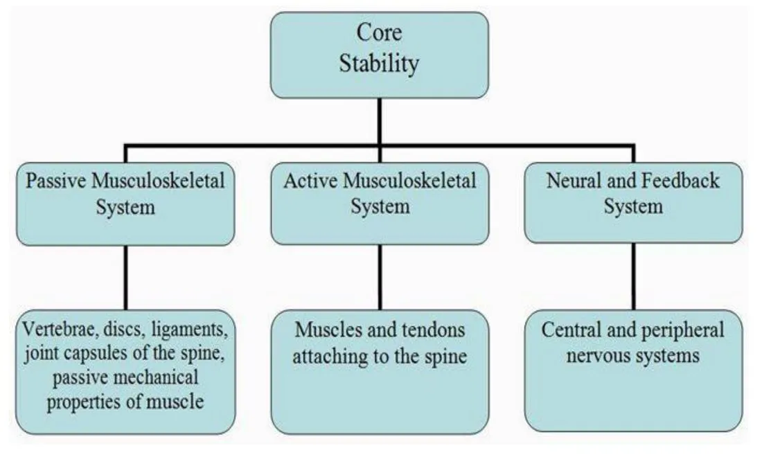Slide 18 — three systems of core stability