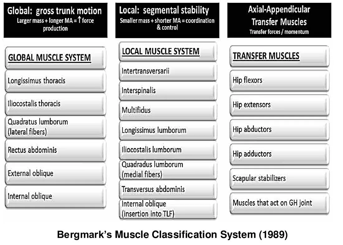 Slide 19 — Bergmark’s classification