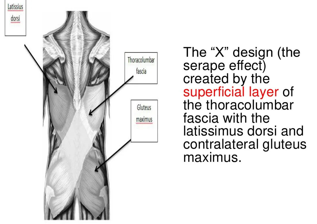 Slide 27 — serape effect