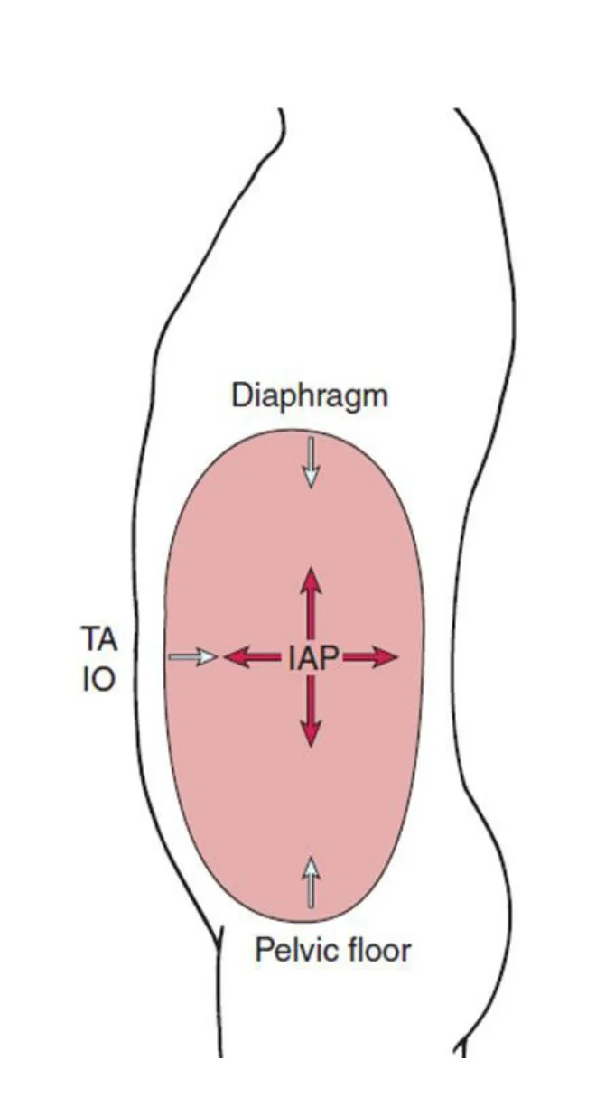 Slide 39 — the IAP chamber