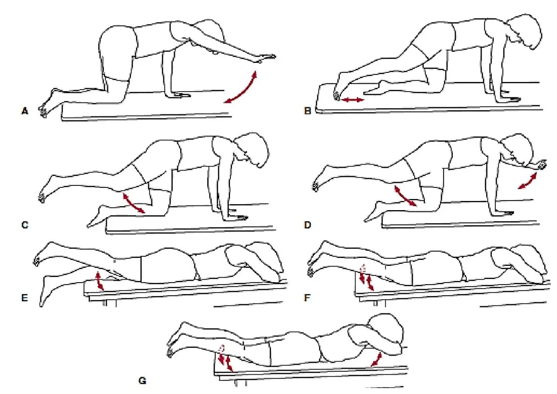 Slide 50 — quadruped and prone